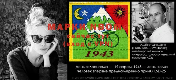 эйфоретик Алзамай
