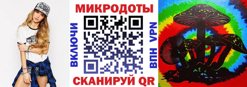 кракен как зайти  Пустошка  Псилоцибиновые грибы Psilocybe 